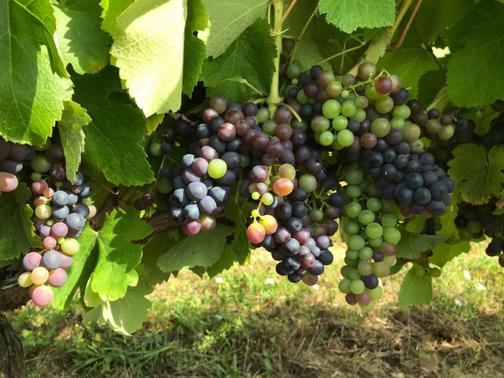 Index égalité Hommes-Femmes 2023