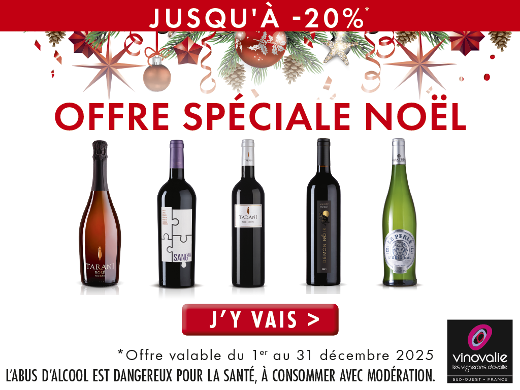 offre spéciale noel dans les caves de Vinovalie